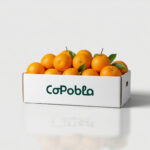 Naranjas navelinas de zumo 15kg
