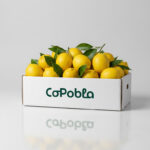 Limones 10kg